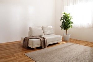 ワンシート座面 ソファ