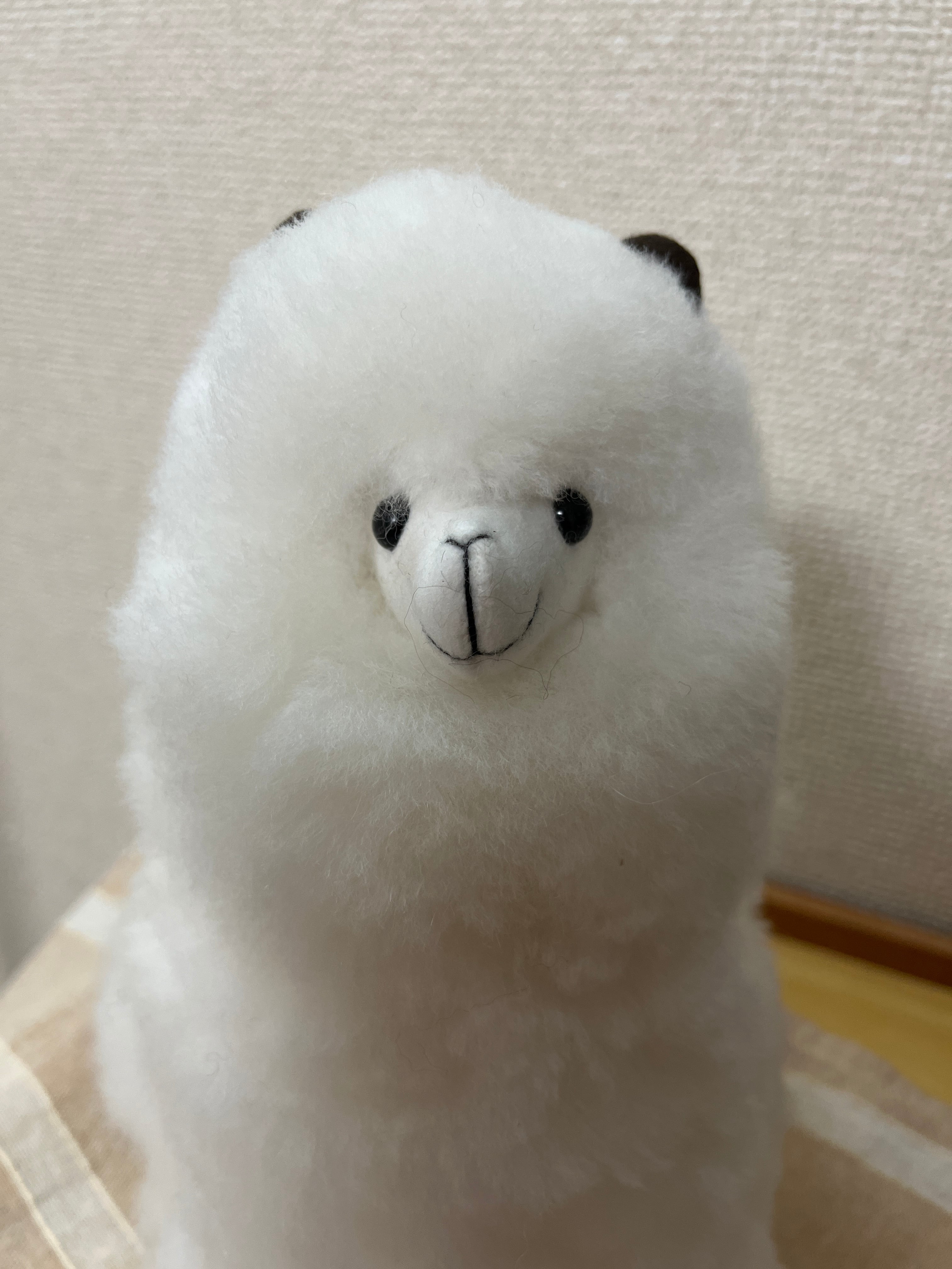 アルパカ純毛人形 25cm 白 Ai | ALPACA WORLD