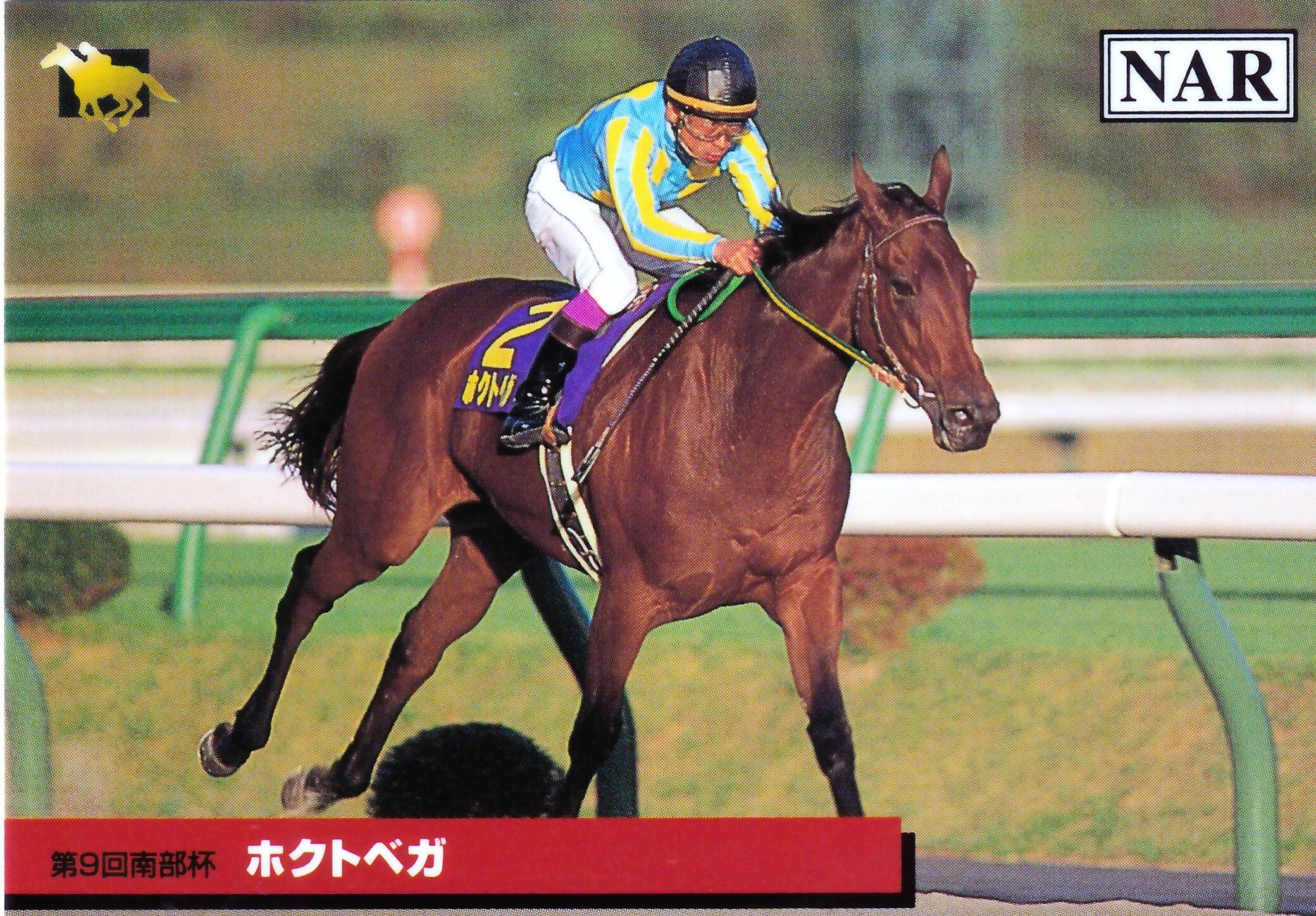 メイセイオペラ：第22回 帝王賞「サラブレッドカード 99年上半期」No