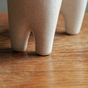 凛々しい表情の、白くて滑らかな馬