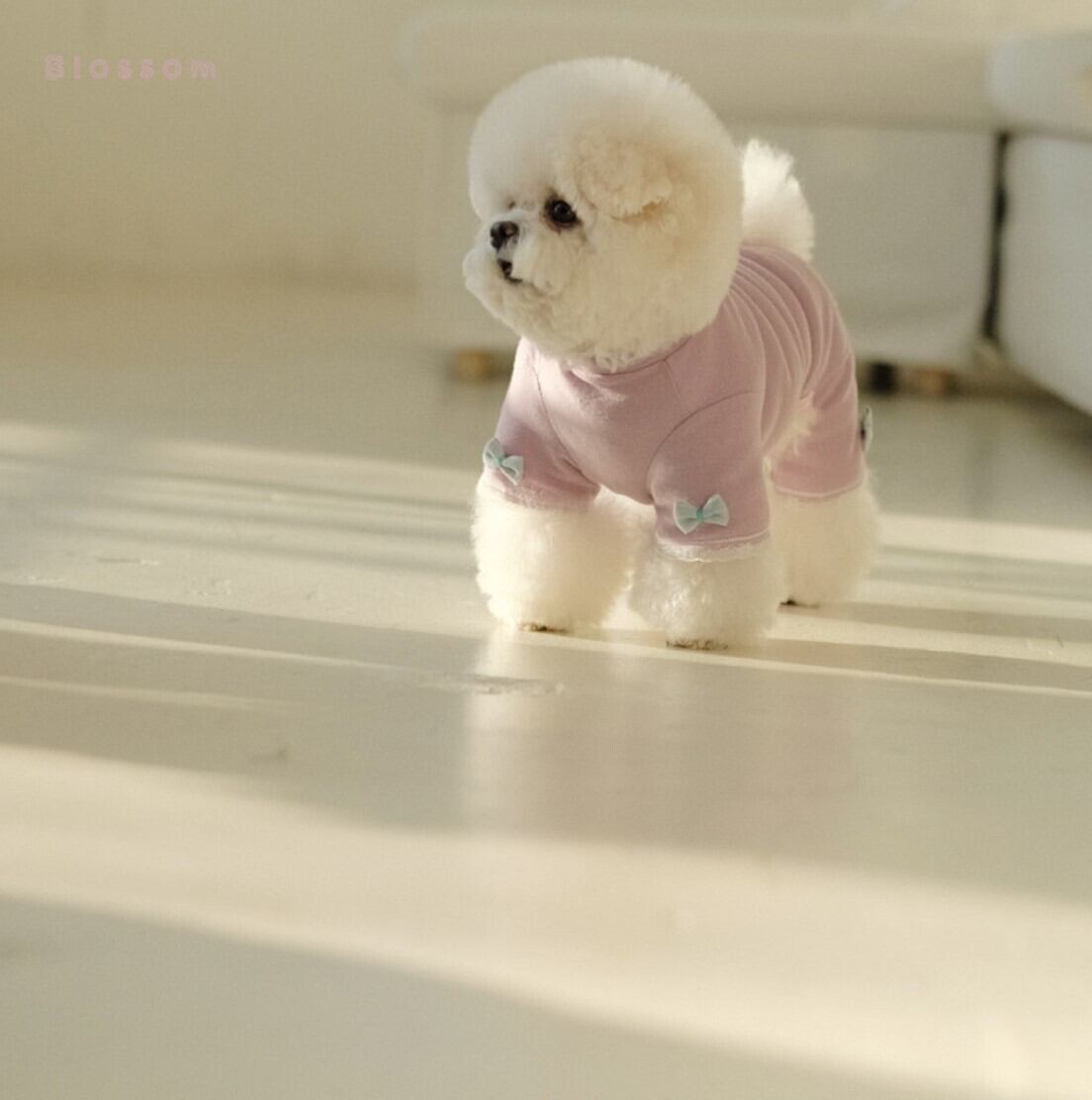 S.L/即納【bebebreath】Blossom Purple Allinone