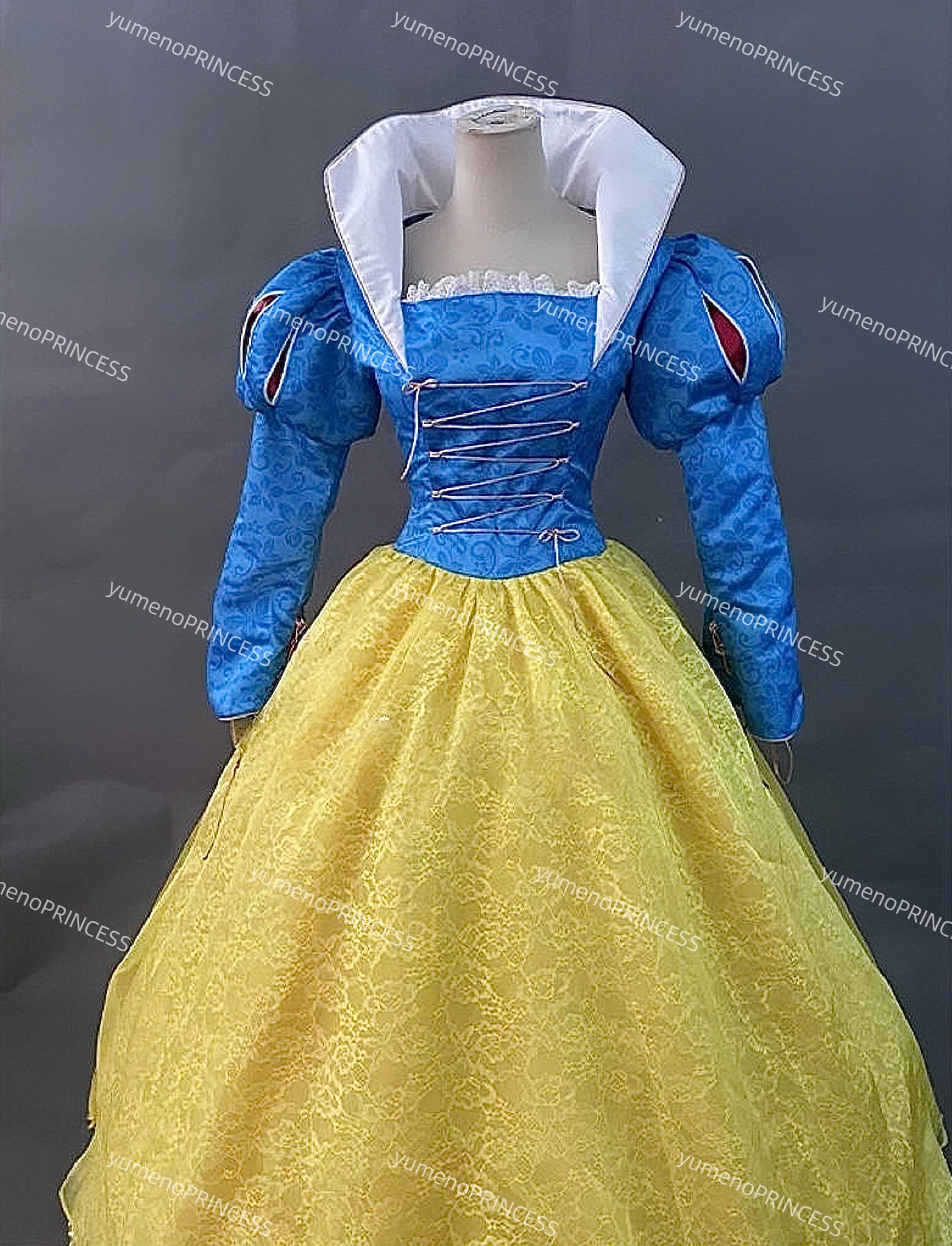 カレーライス／プロフ一読くださいページ白雪姫　衣装　Dハロ　コスプレセット 白雪姫🍎 お友達とプリンセス合わせして 楽しかったんだ