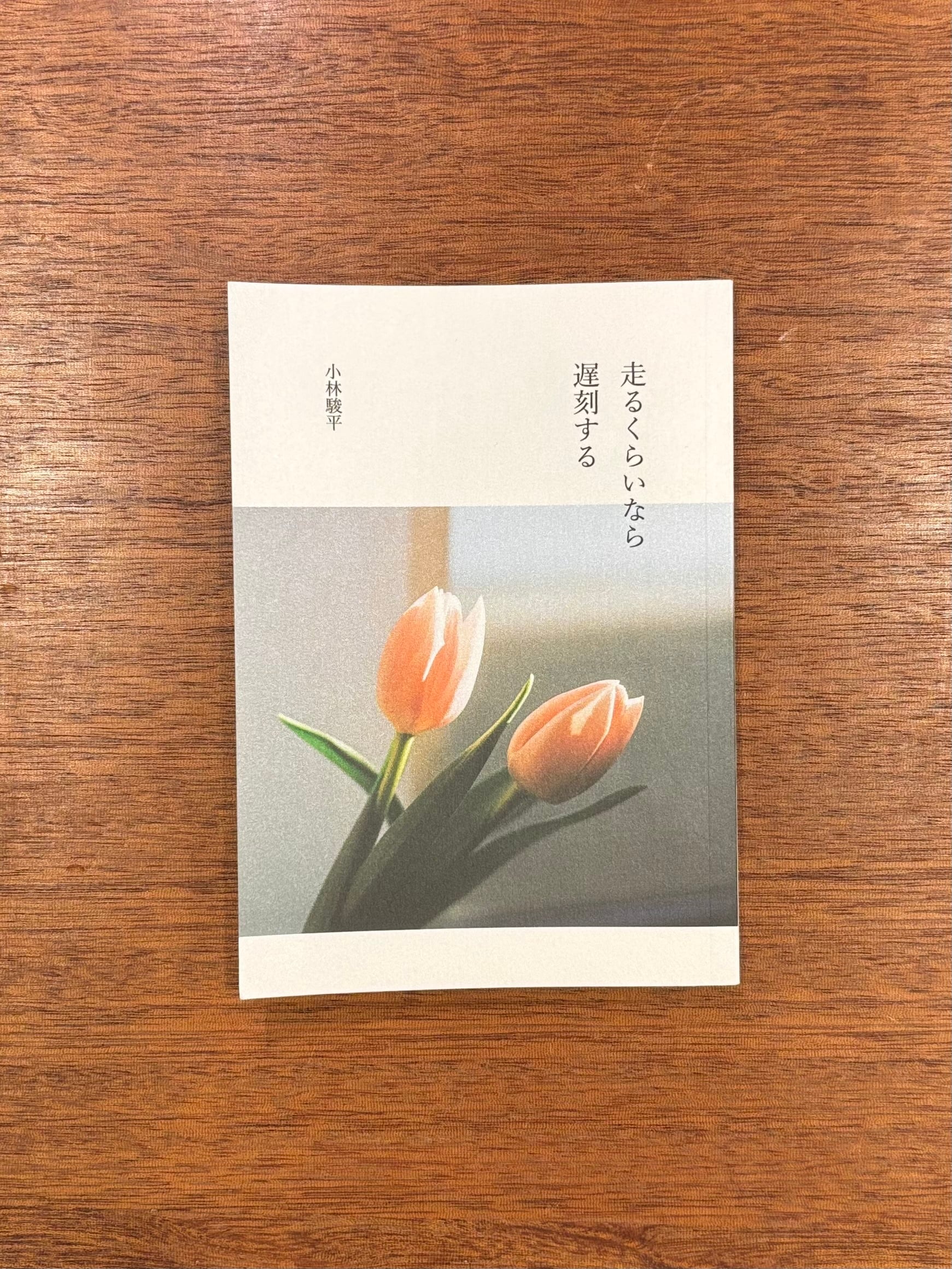 コリイ・ドクトロウ 著 ／ 川副智子 訳『マジック・キングダムで