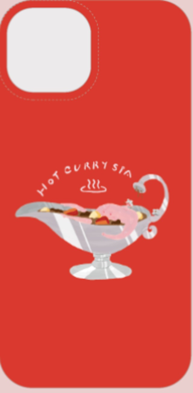 リクエストカレー温泉ハードケース