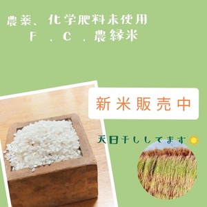 【もち米3合(約450ｇ)】天日干し　農薬、化学肥料未使用