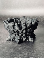 怪獣(浅型)sizeM