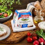 フランス産 ソワニヨン 山羊乳チーズ スプレッドタイプ シェーブル ナチュラルチーズ ピラミッド型 150g Soignon Spreadable Goat Cheese | French Chevre Natural Cheese, Pyramid Shape 150g