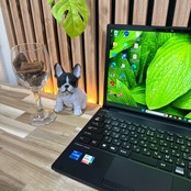 \ 公式ショップ限定価格❣️\ 準美品《2023年モデル》富士通 LIFEBOOK U9313/N 第13世代 メモリ8GB SSD256GBノートパソコン 安心サポート＆3ヶ月保証付き