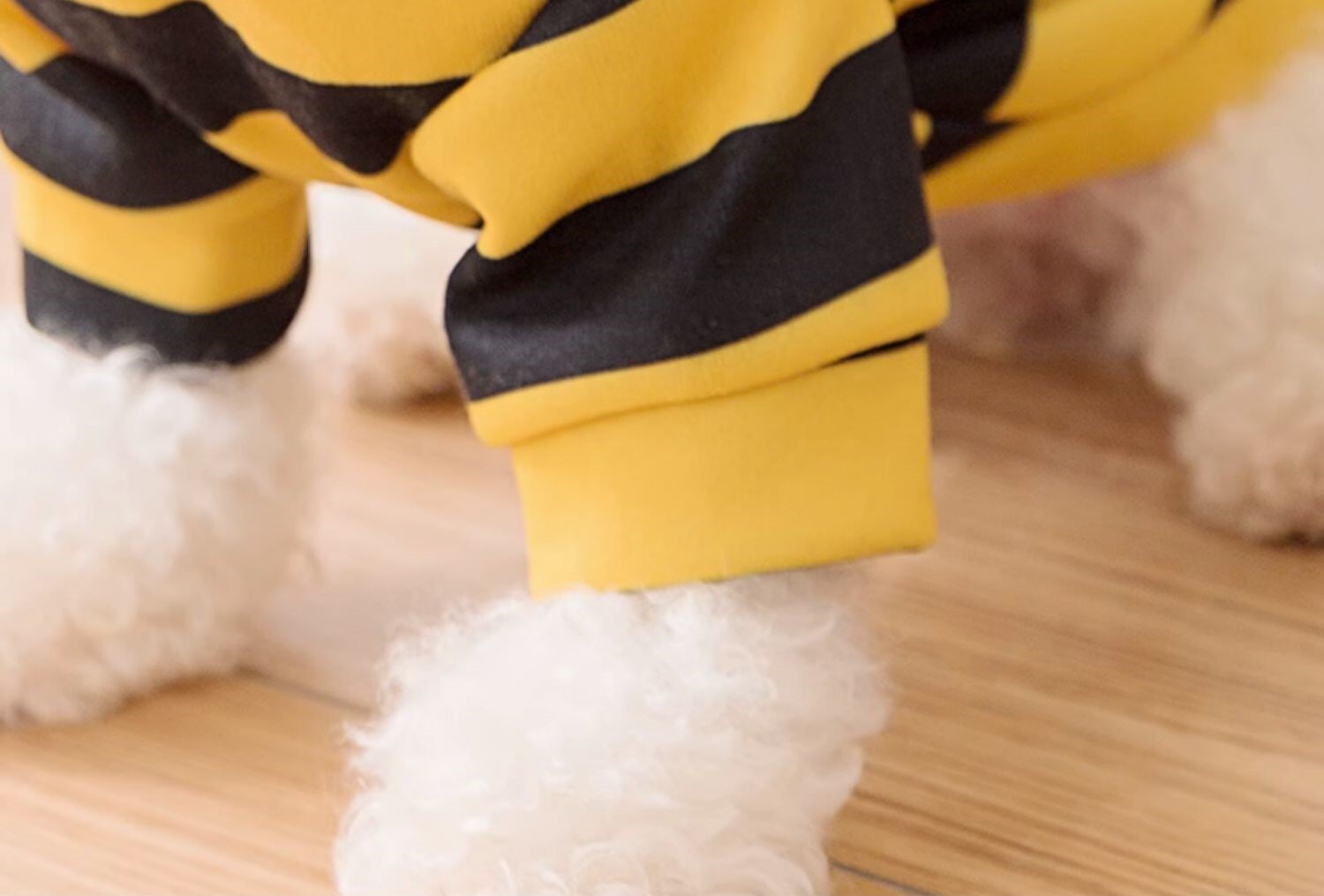 ハロウィンコスプレにぴったり！ワンコなりきりパーカー/蜂/ハチ