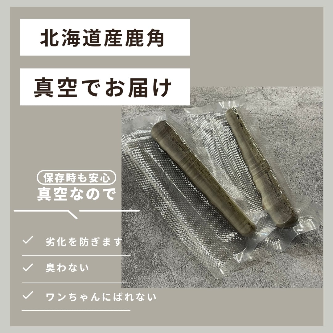 送料無料】北海道産蝦夷鹿の角 Sサイズ 2本 犬のおやつ おもちゃ 鹿角