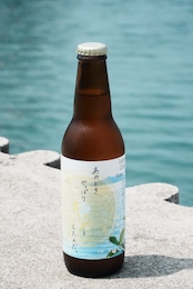 MICHISHIO BREWING Lemon Citrus Sour Ale 330㎖