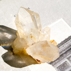 Golden Healer 7 ✧ ゴールデンヒーラー