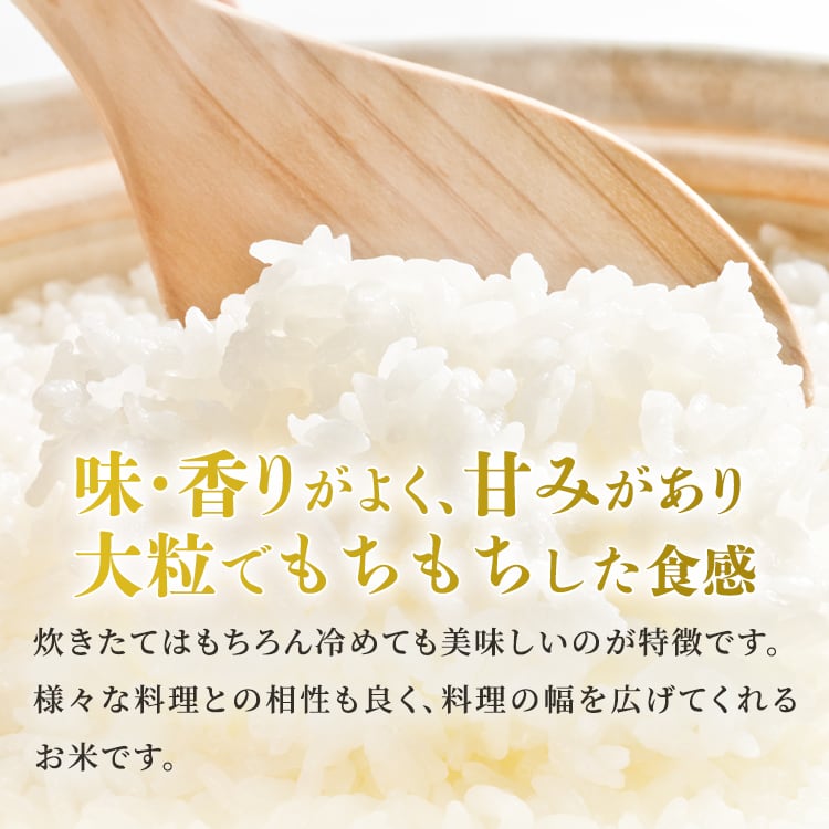 (5kg×2袋)　極上の会津米　令和5年産「ひとめぼれ」10kg　Daiken