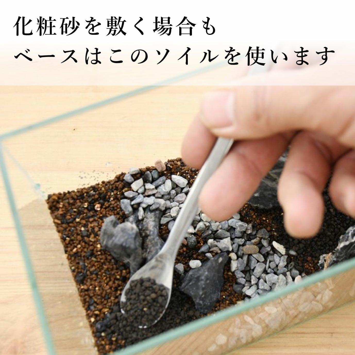 苔テラリウム作製用SOIL（ソイル） 苔テラリウムの土 【お得な5袋