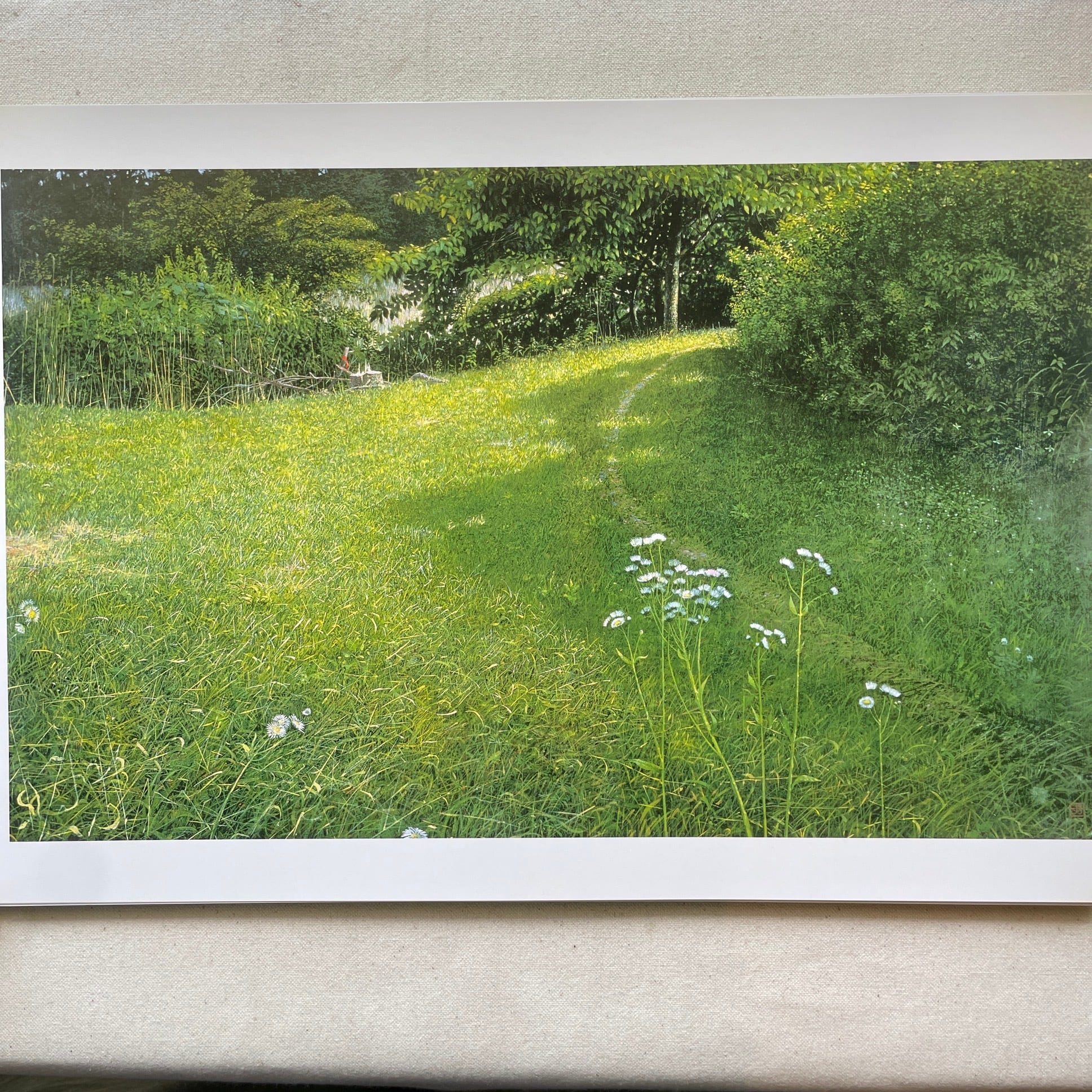 稜線の風の如く | 犬塚勉 | 汀線