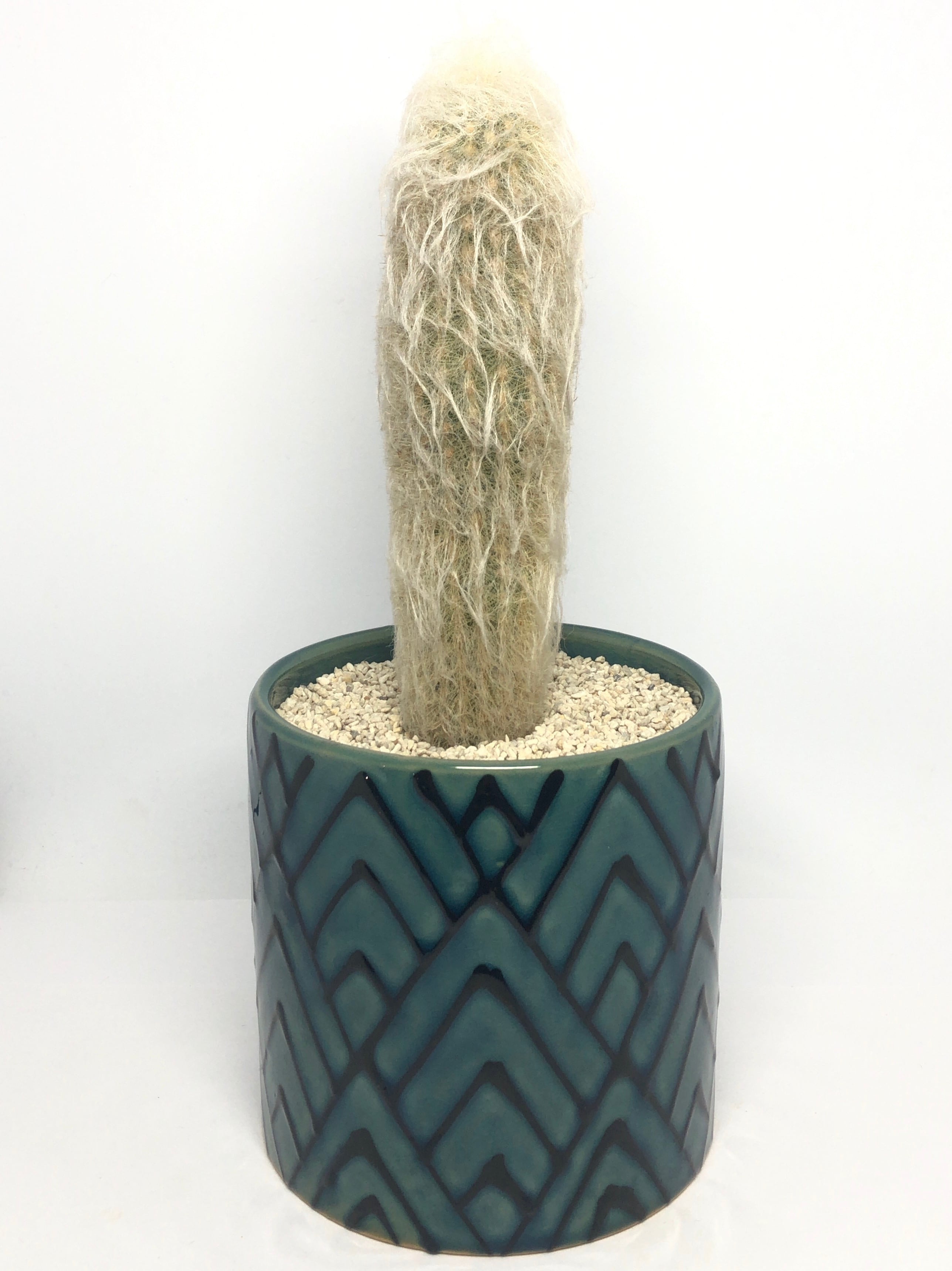 エスポストア・幻楽 | trigger