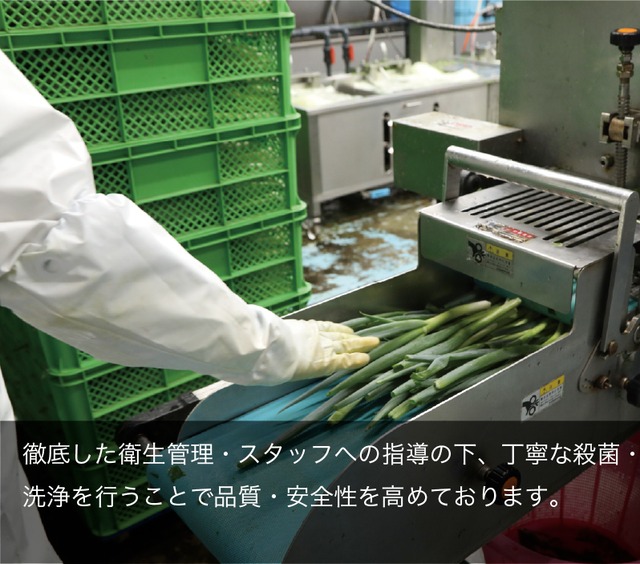 業務用原体ネギ 10キロ 国産【140サイズ】