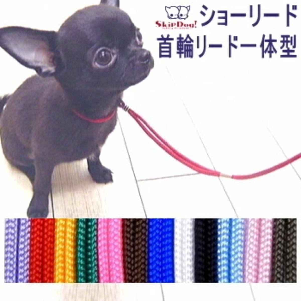 スキップドッグ! プチインリード 犬 首輪 リード 一体型 ショーリード 