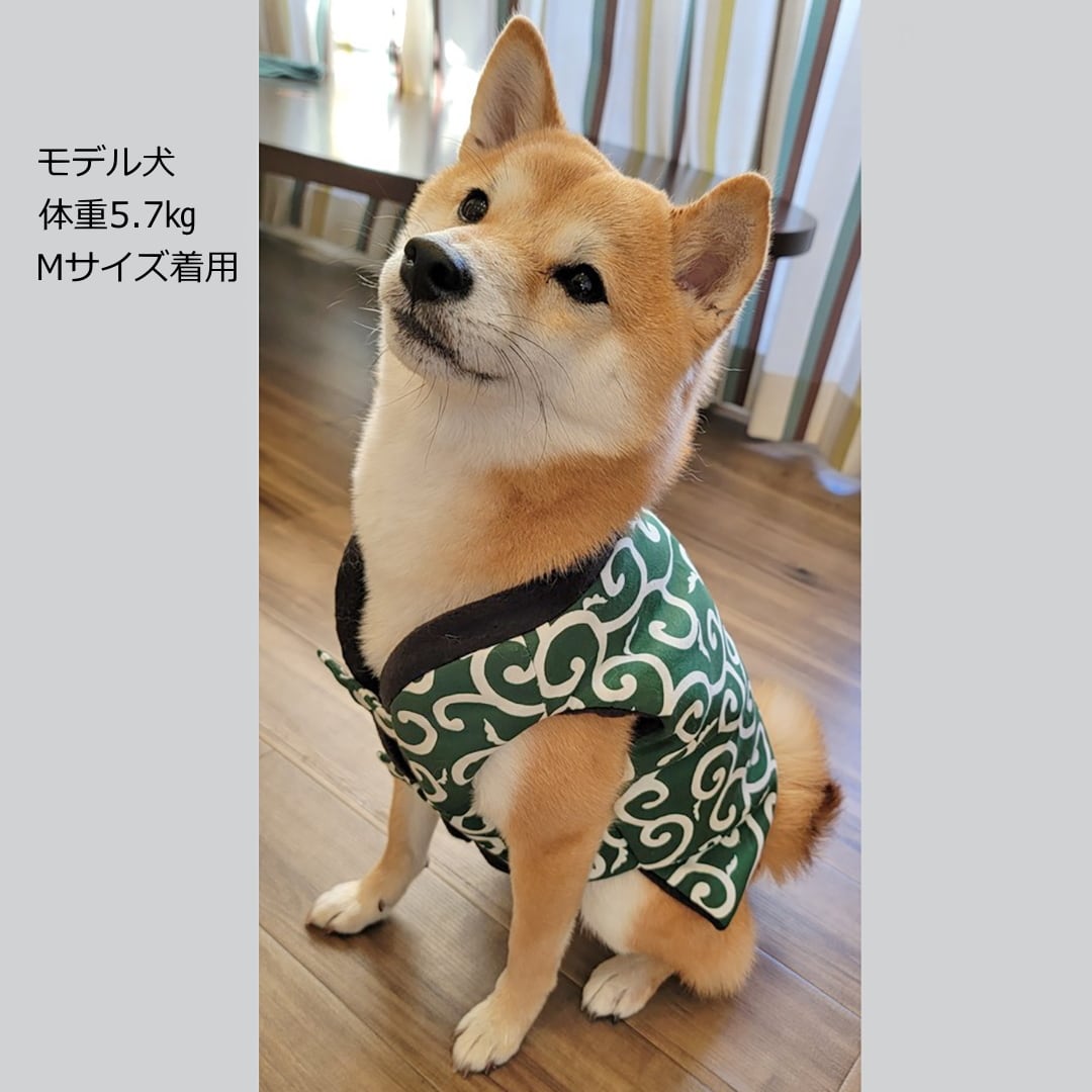 犬 猫 ちゃんちゃんこ M 唐草 グリーン ペット はんてん 着物 和柄 犬