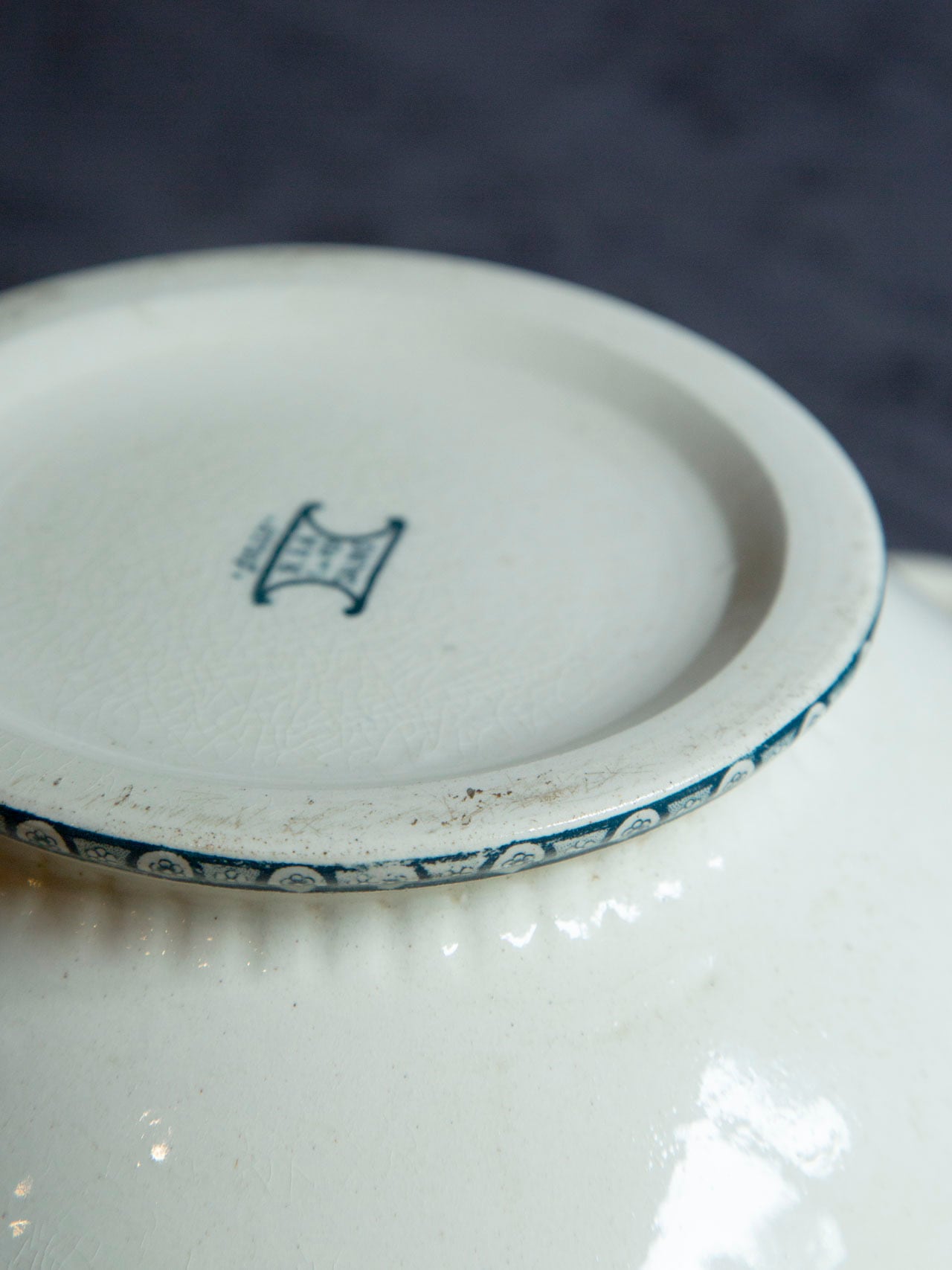 SALINS R&A SULLY Terre de Fer(テールドフェール)スープチュリー