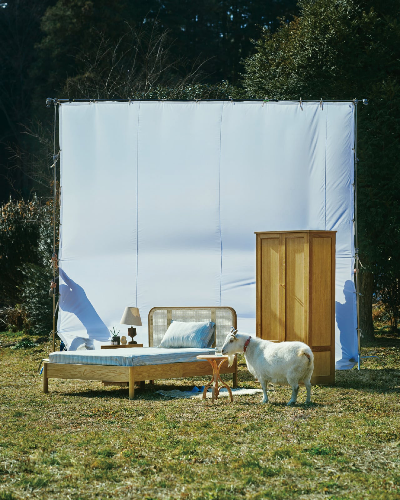Cane Paneled Bed