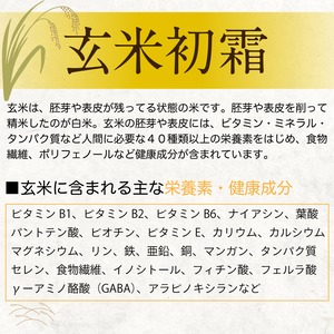 幻の米！玄米 岐阜県ハツシモ 5kg　通常栽培米【令和5年産】