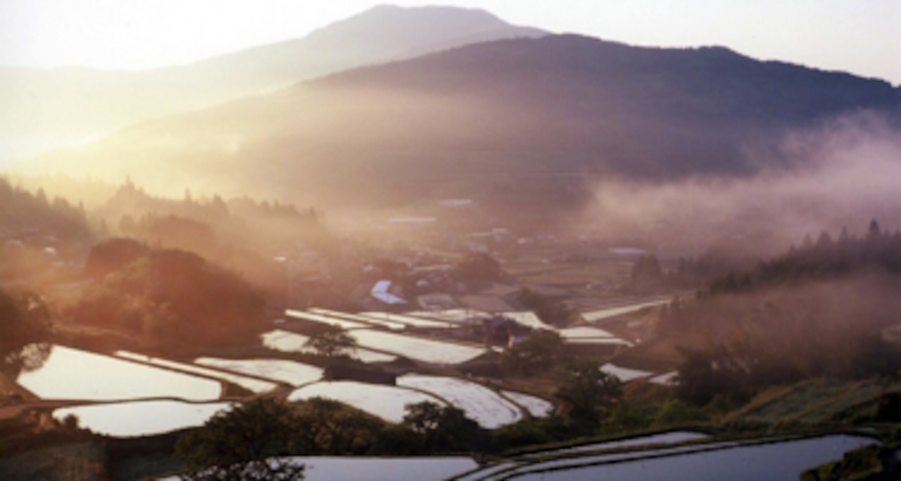 【令和5年産】岐阜県 「坂折棚田みねあさひ」（白米／玄米 5kg）