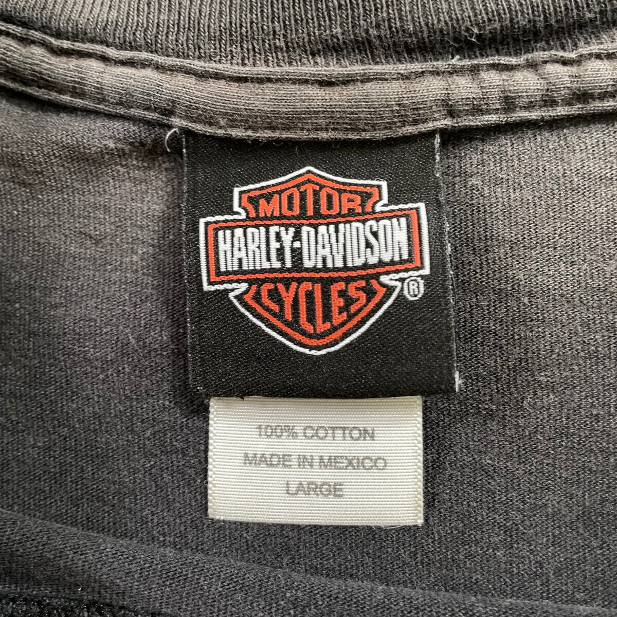 00年代 HARLEY-DAVIDSON ハーレーダビッドソン イーグル ファイヤー