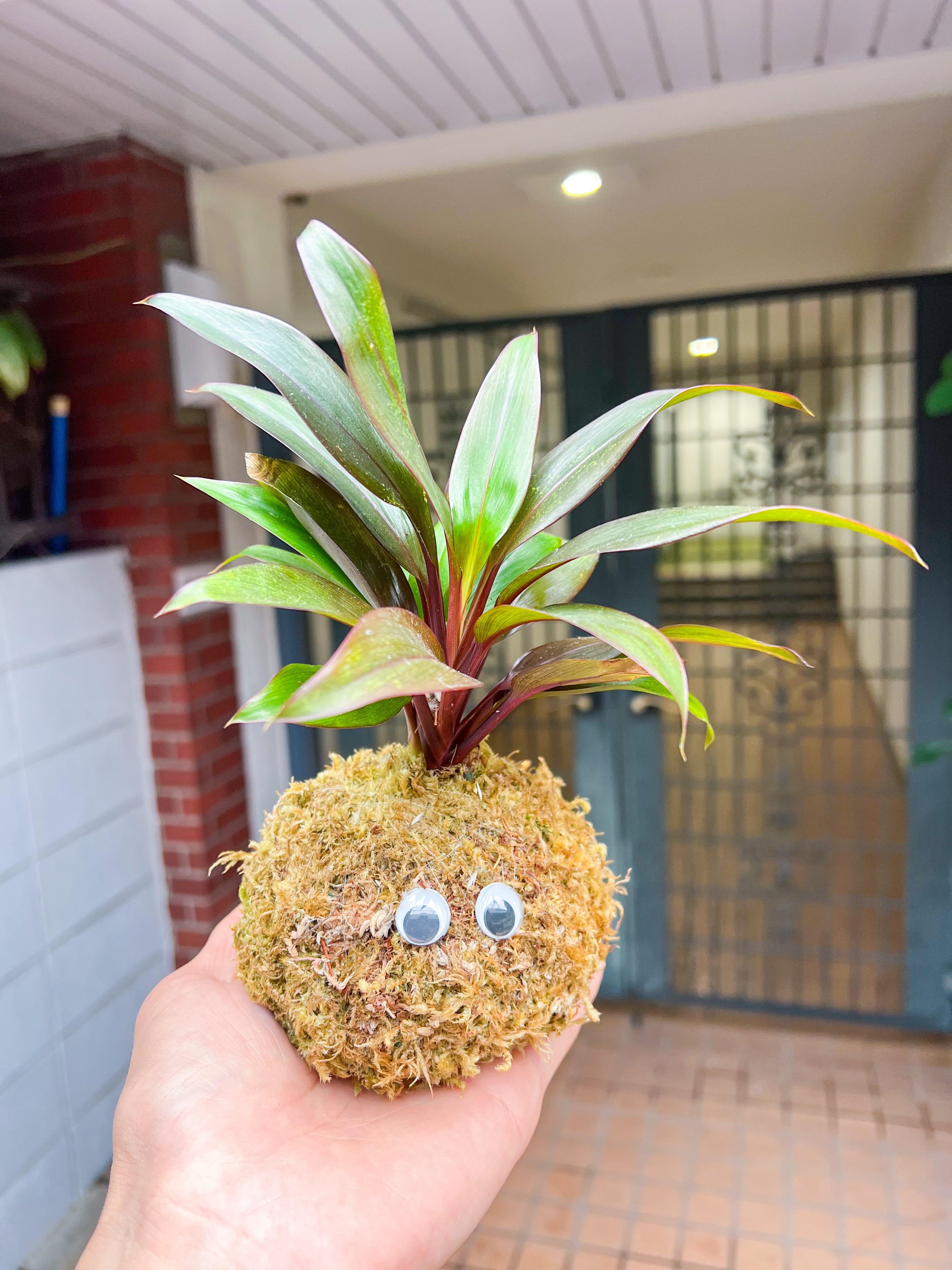 hananona