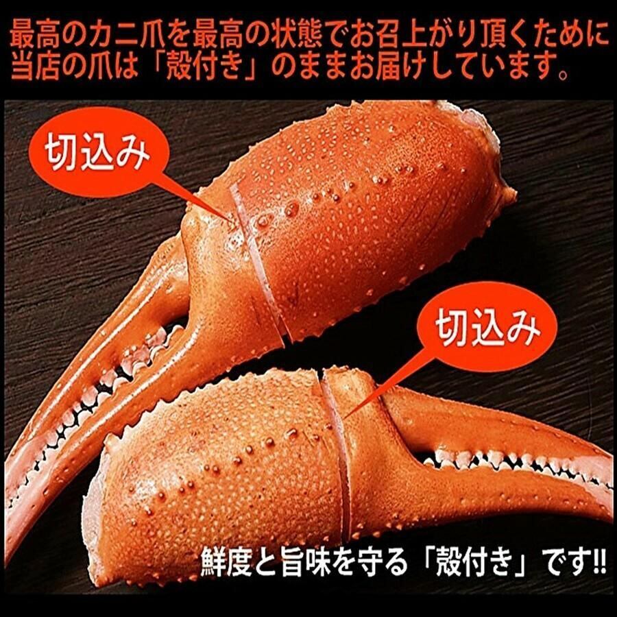 紅ズワイガニ爪 ボイル 稚内産 1キロ