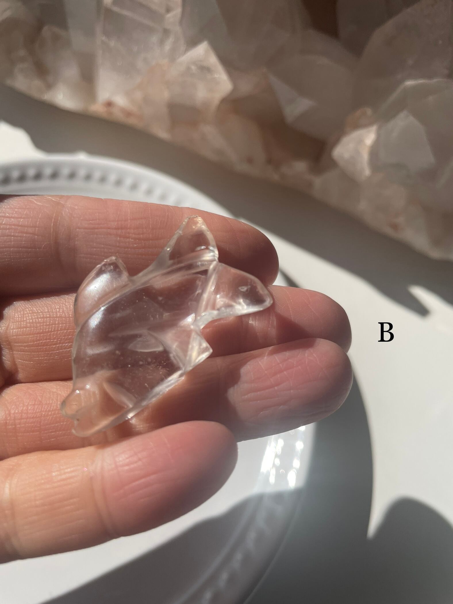 Crystal Fish / 水晶　魚