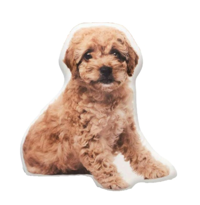 うちの子クッション【モコモコ生地】2L サイズ