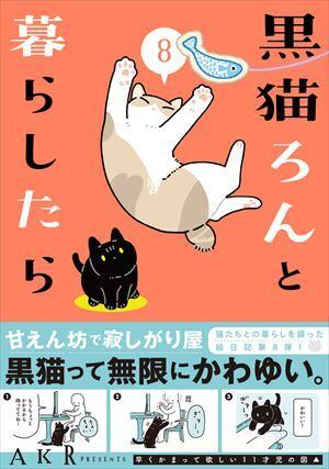 ひげまんじゅう福だるまMC 黒豆 | 奈良の愛らしい猫のお店 猫雑貨さんちこ