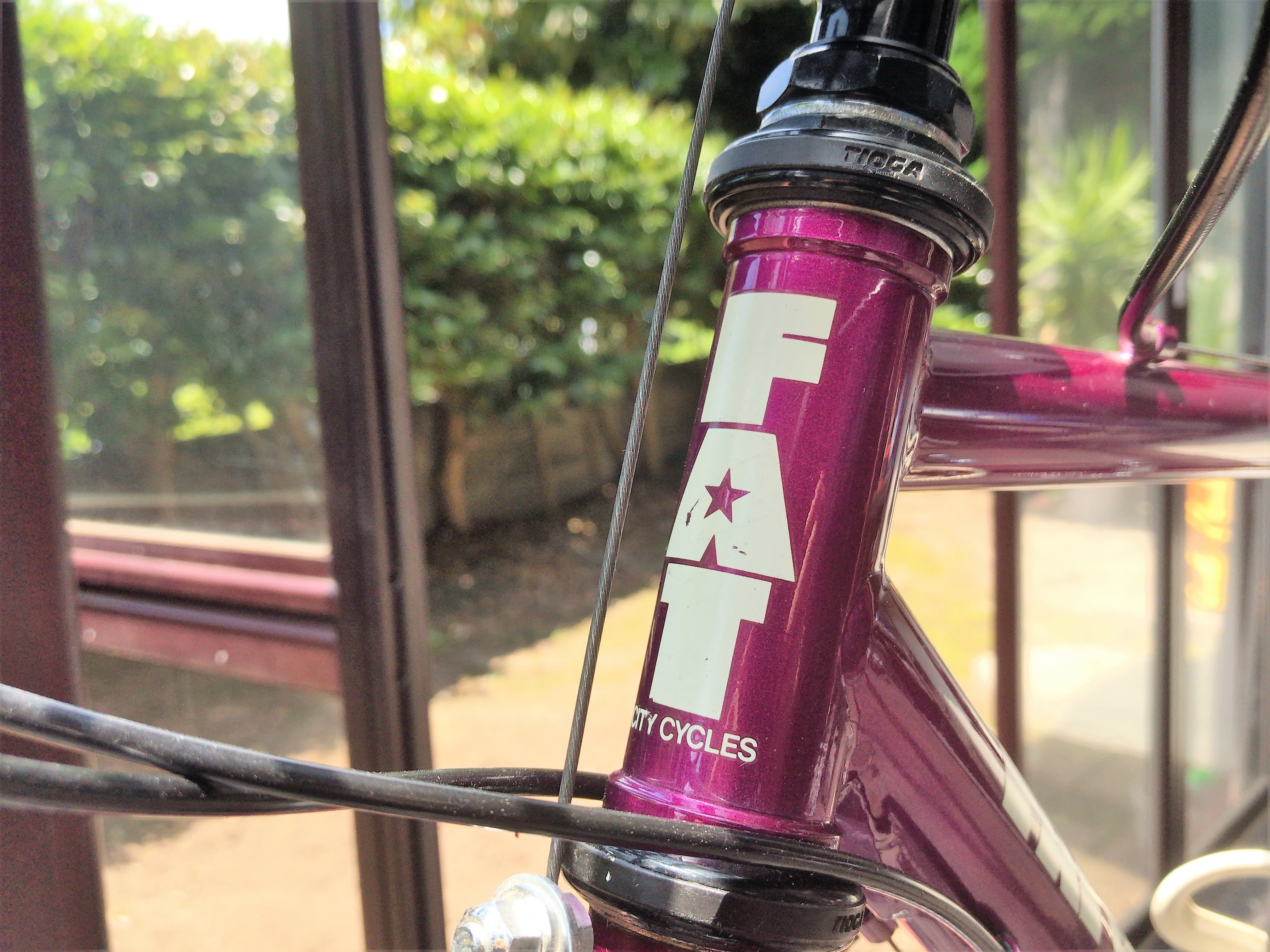 1989 Fat city cycles Fat Chance | CALI BIKES SC