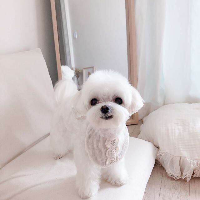 〈即納アイテム〉EYOU スタイ / ナチュラルリネン