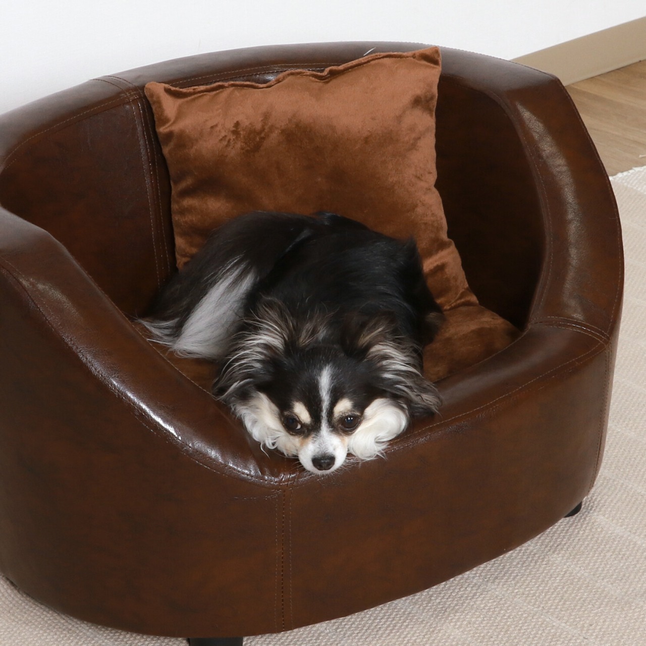 F-PET SOFA