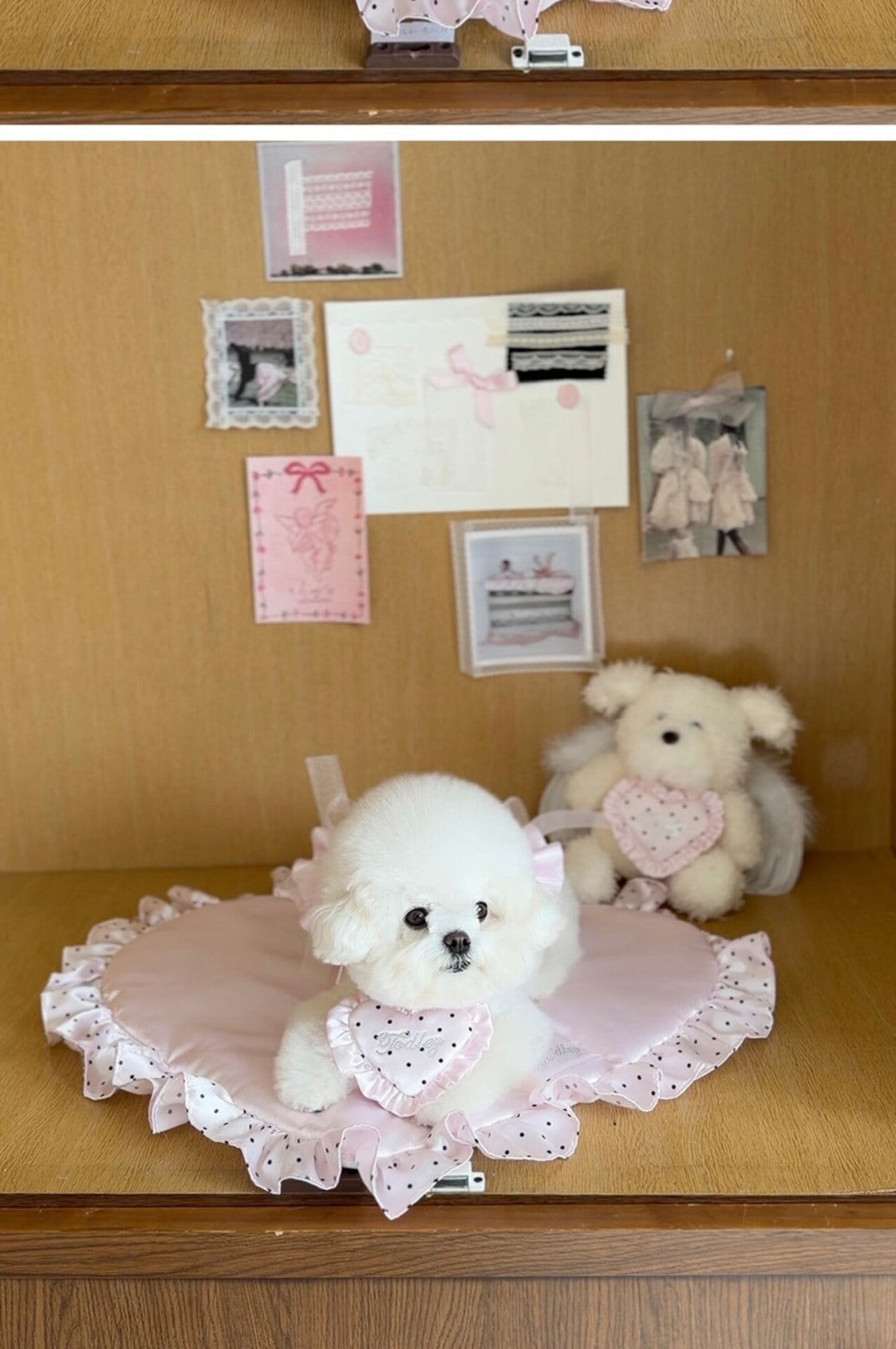 Dog% Maison