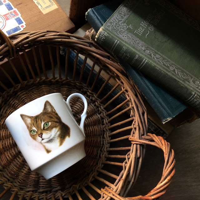 Vintage Cat Mug made  in Germany / シューマン アルツベルグ 猫マグカップ ドイツ製