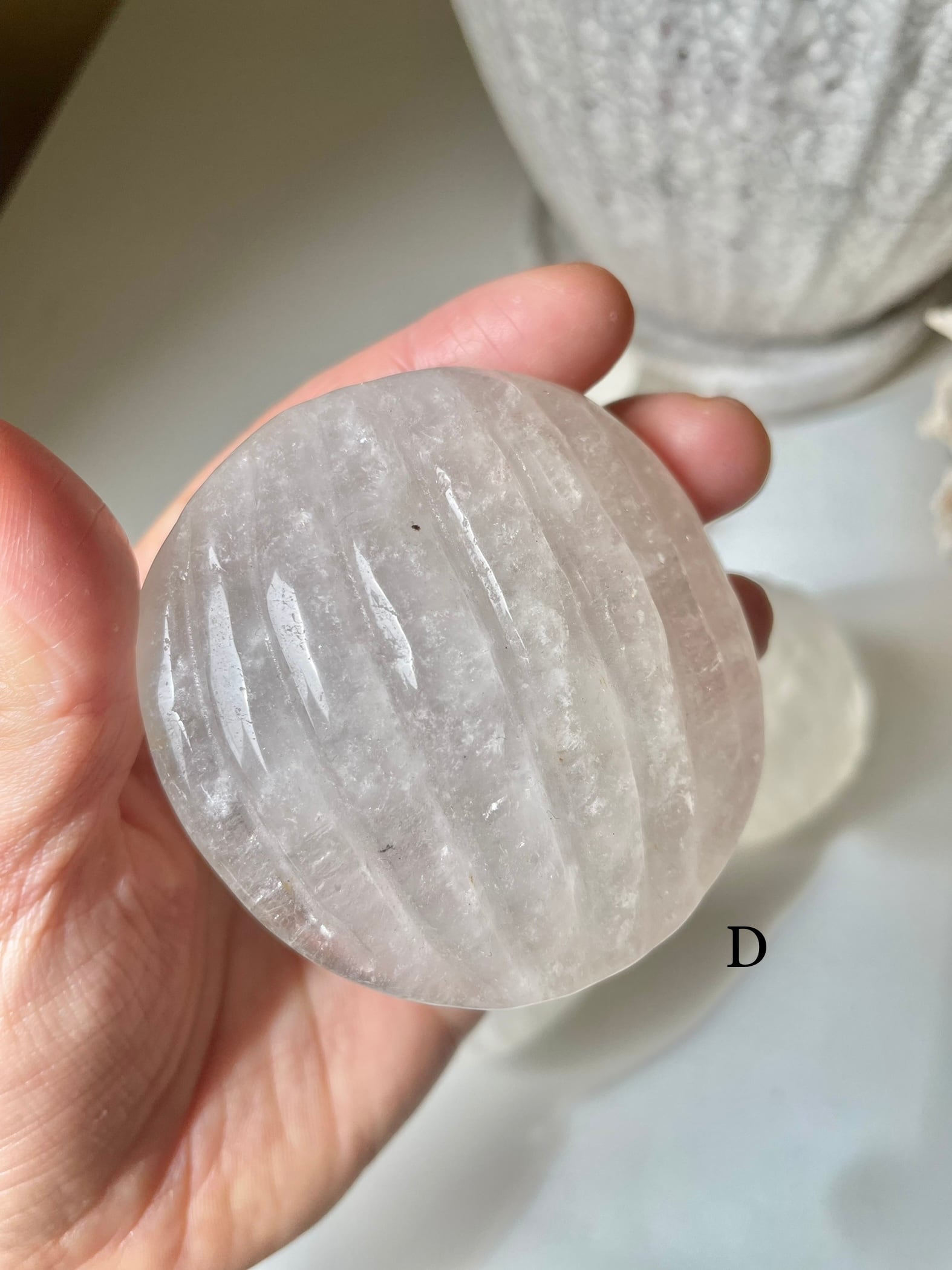 Crystal Shell / 水晶　貝