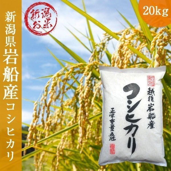 令和2年産 新米 新潟県岩船産コシヒカリ20kg(5kg×4) 白米 特Aランク ご ...