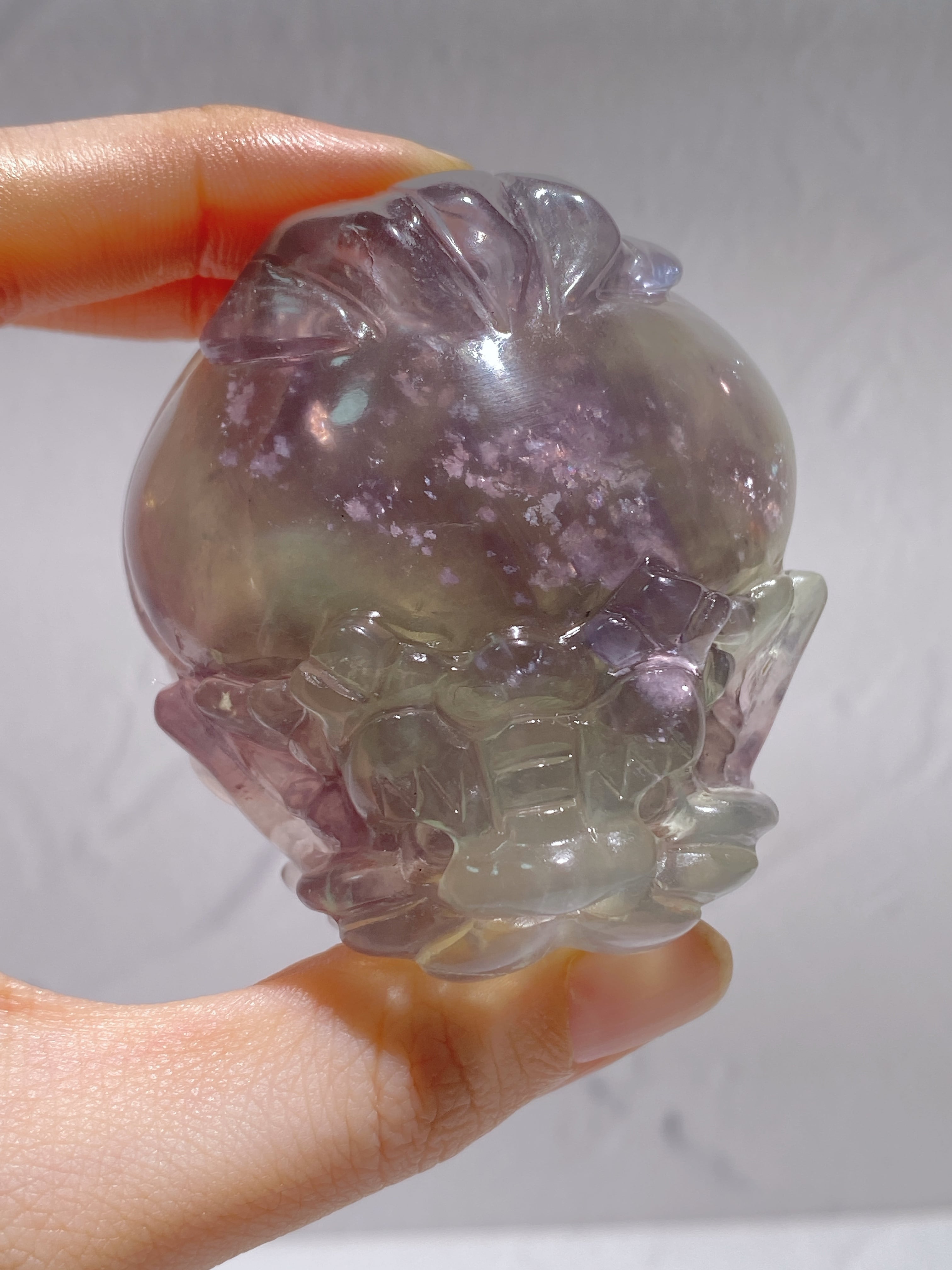 龍亀(ロングイ) | 9rinto