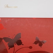 レディース プリーザー Pleaser ヒール 26.2cm シルバー系 ハイヒール ラメ グリッター 靴 くつ シューズ パーティー コンテスト ミスコン 大会 イベント 華やか 派手 透明