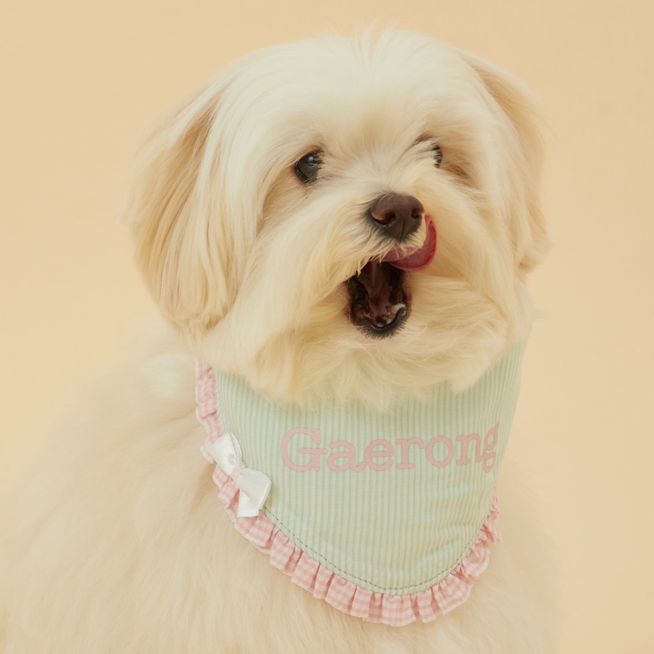 【予約】[ thesallyslaw ] Maybel Naming Bandana｜Mint stripe - 8
