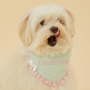 【予約】[ thesallyslaw ] Maybel Naming Bandana｜Mint stripe