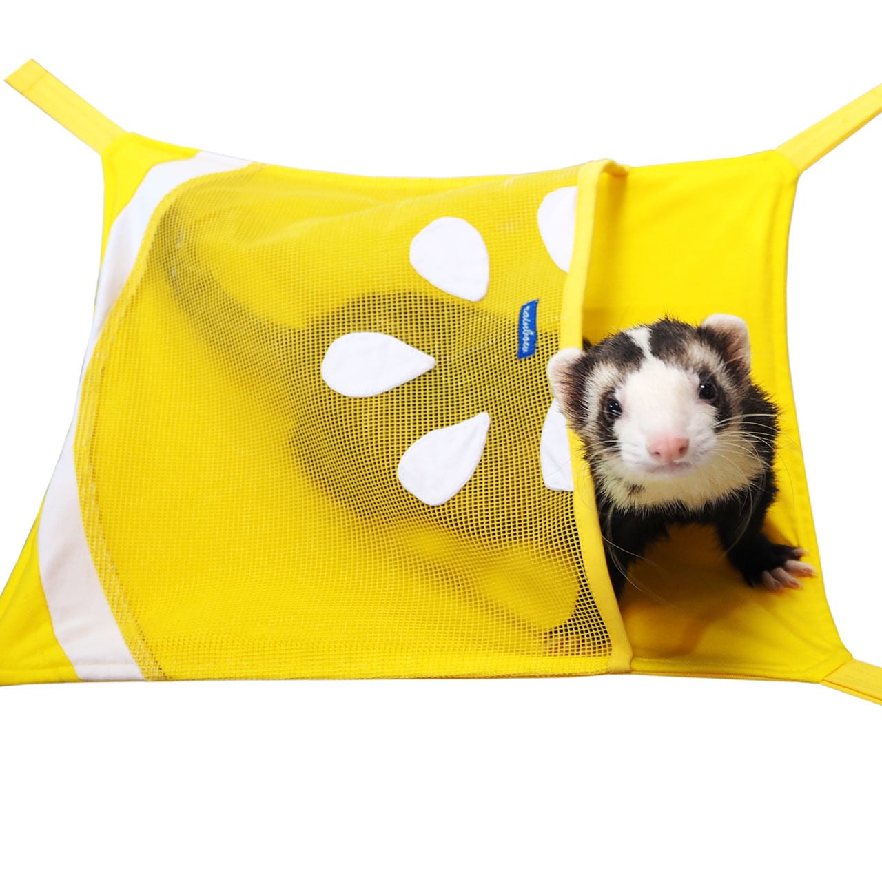 【フェレット】レモンのメッシュハンモック