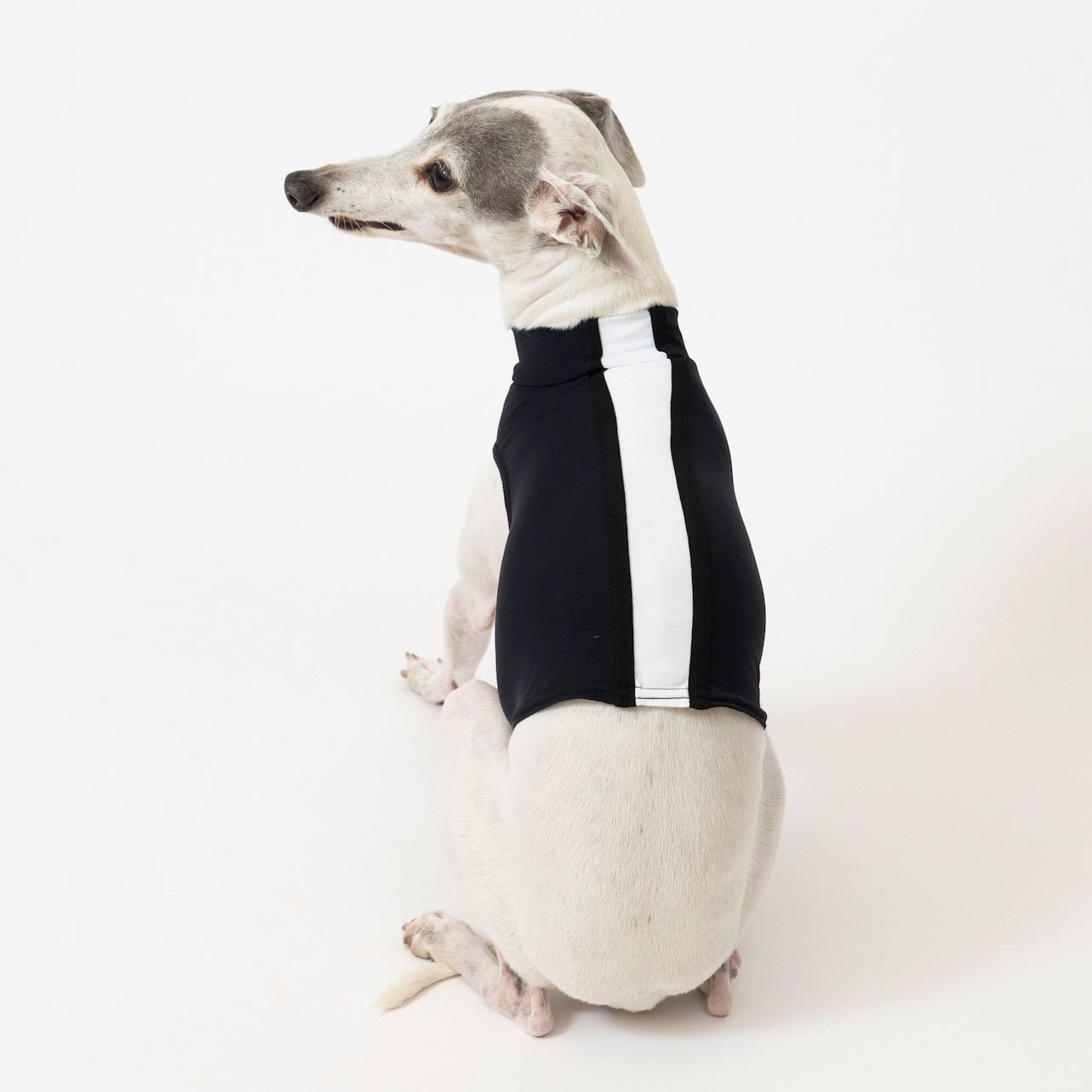 イタグレ☆タンクトップ スポーツタンクトップ black / イタグレ服 | イタグレ服【Pippino】