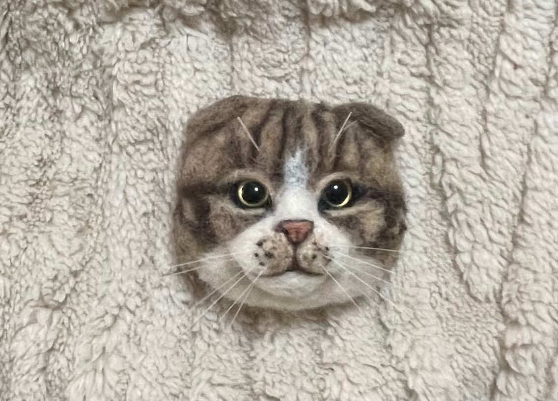羊毛フェルト リアル可愛いスコティッシュフォールド 猫 ブローチ ゆ