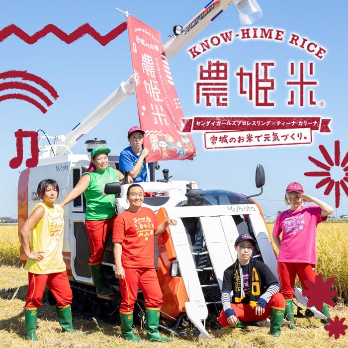 新米 令和7年産 ササニシキ玄米30kg（精米27kg）【送料無料】 | 【農姫
