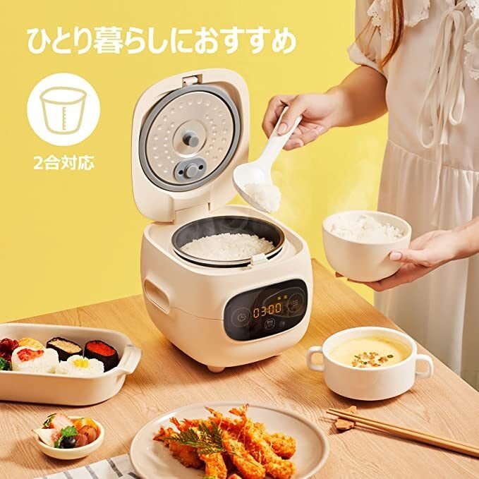 Modere 1升炊き炊飯器 HK-RC1000 ヒロ・コーポレーション 炊飯器