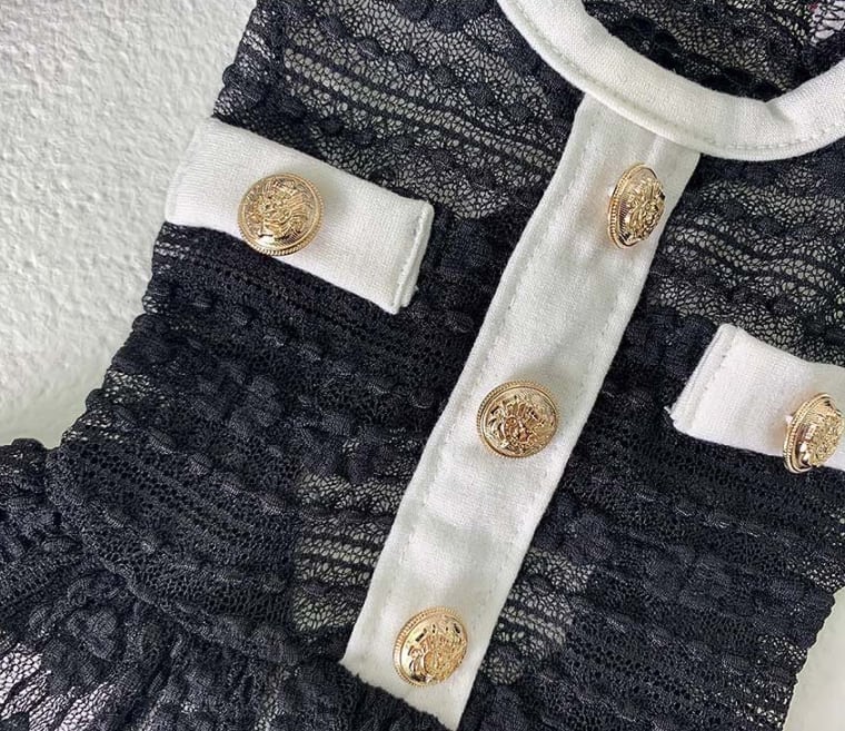 【SALE】cha see-through crop top XS ~ XL 2color / 犬服 春夏 新作 Tシャツ ドッグウェア ショート丈 シースルー 袖なし 小型犬 中型犬 クロップドトップス 涼しい お揃い シンプル